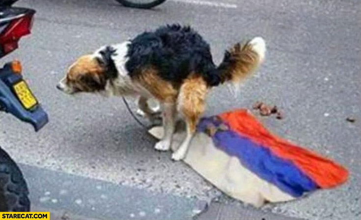 Dog shitting pooping at Russian flag