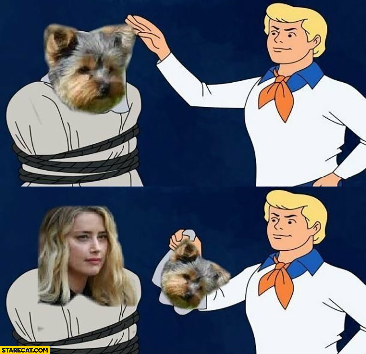 Dog shitting scooby-doo Fred checking it’s actually Amber Heard