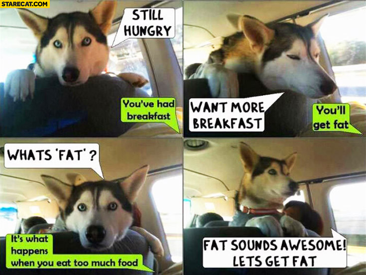 Dog: Still hungry, want more breakfast. You’ll get fat, what’s fat? It happens when you eat too much food. Fat sounds awesome, let’s get fat!