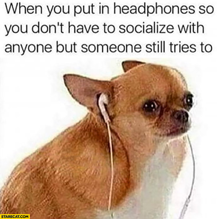 Dog when you put in headphones you don’t have to socialize with anyone but someone still tries to