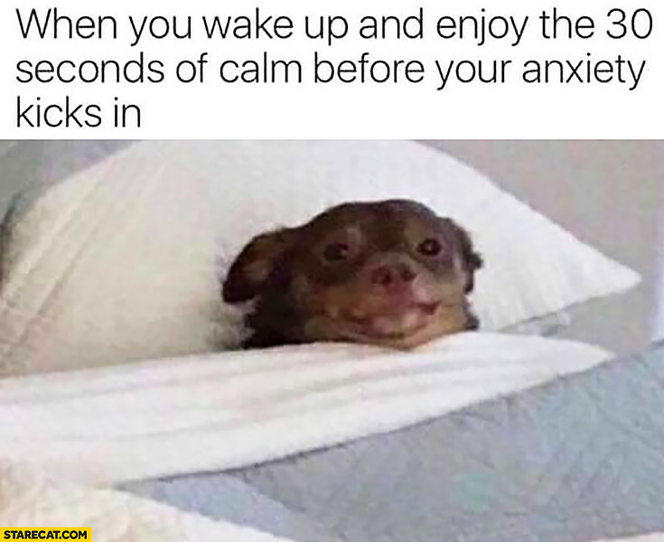 Dog when you wake up and enjoy the 30 seconds of calm before your anxiety kicks in