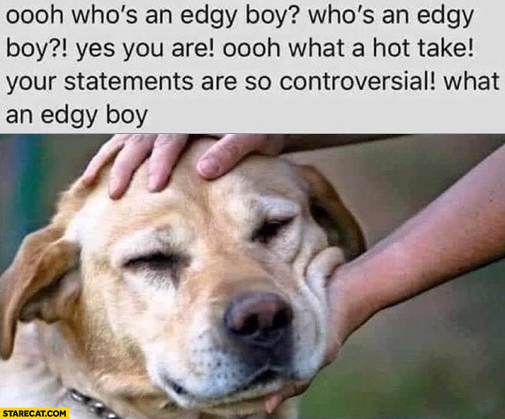 Dog who’s an edgy boy, you are, what a hot take, your statements are so controversial