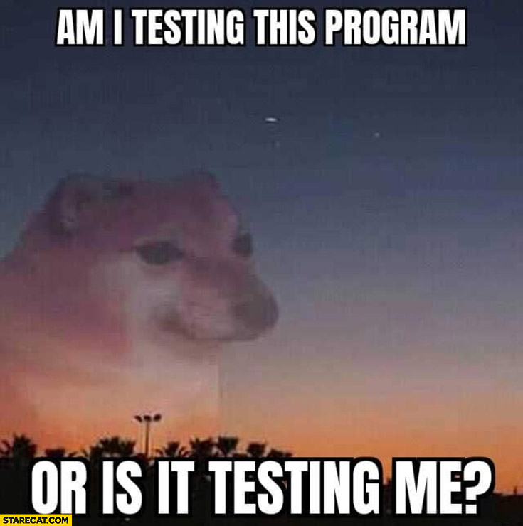 Doge am I testing this program or is it testing me?