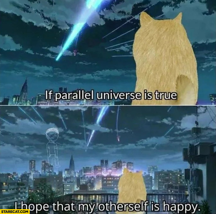 Doge if parallel universe is true I hope that my other self is happy