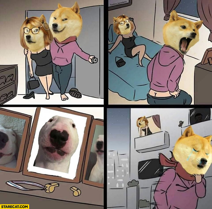 Doge meme comic sees picture of another dog race and leaves
