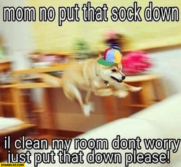 Doge mom no put that sock down I’ll clean my room don’t worry just put that down please