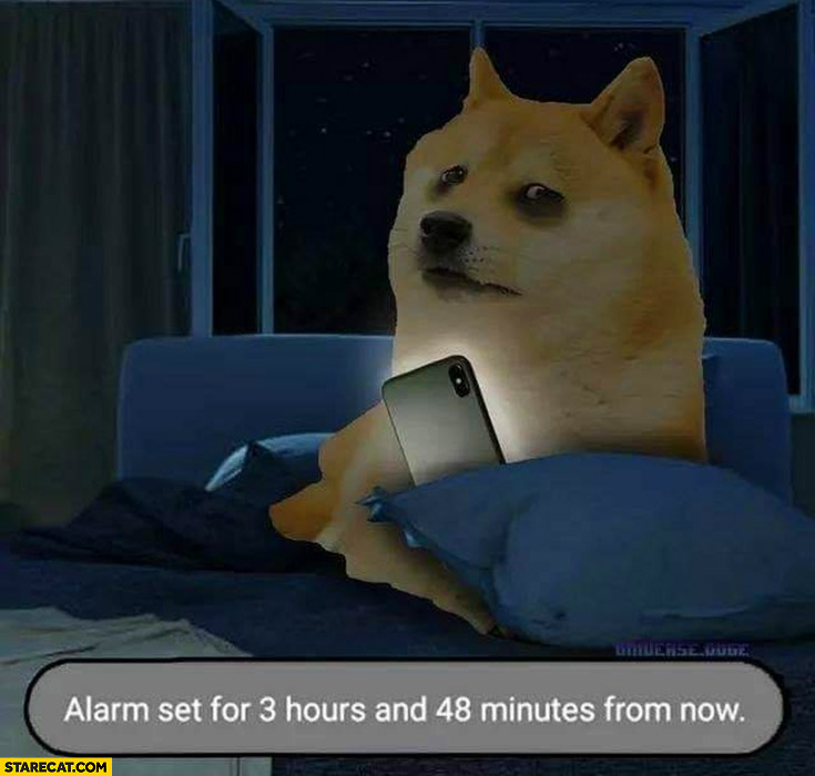 Doge sad dog alarm set for 3 hours and 48 minutes from now