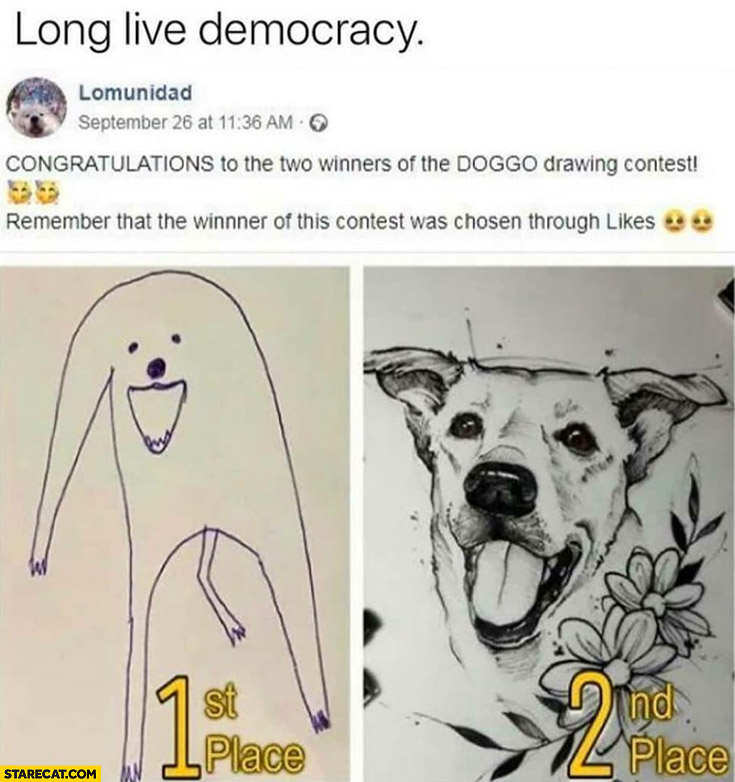 Doggo drawing contest winners on facebook chosen through likes long live democracy