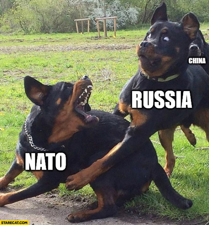 Dogs fighting NATO  Russia China