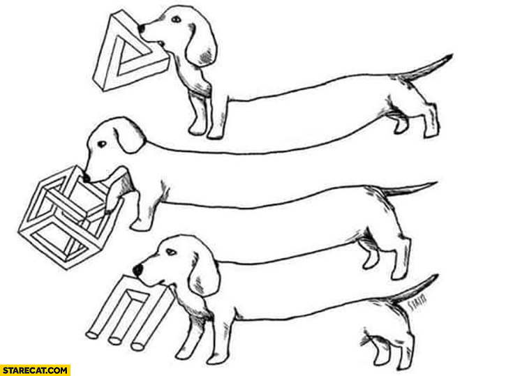 Dogs optical illision drawing