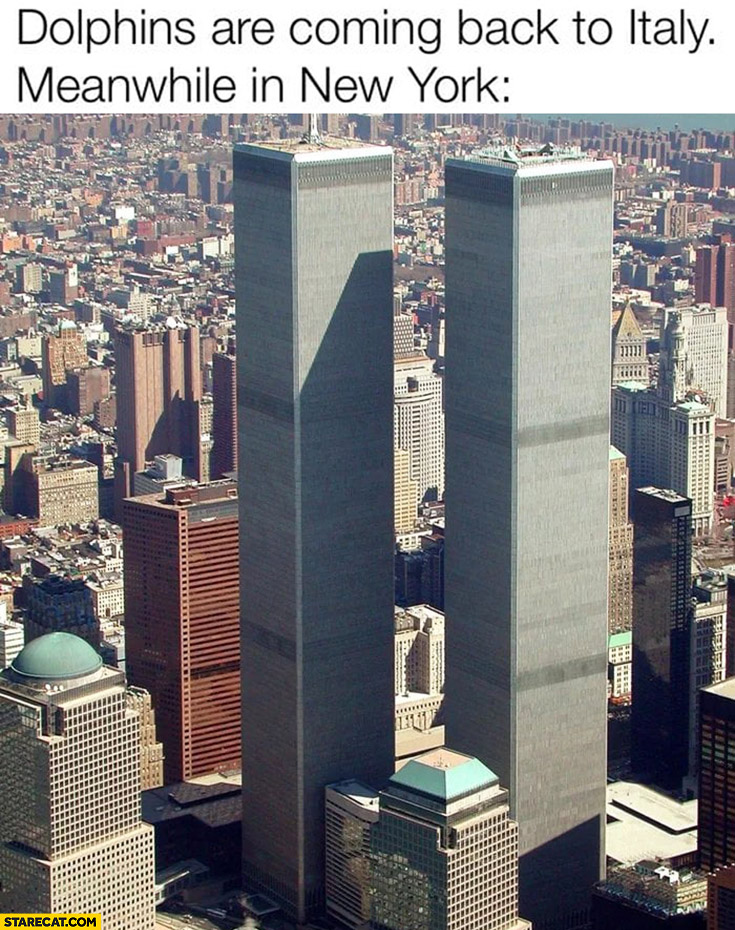 Dolphins are coming back to Italy meanwhile in New York WTC World Trade Center towers are back