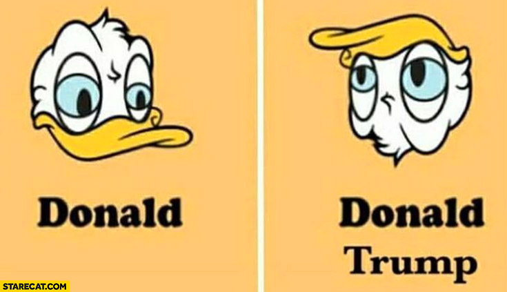Donald Duck vs Donald Trump when upside down
