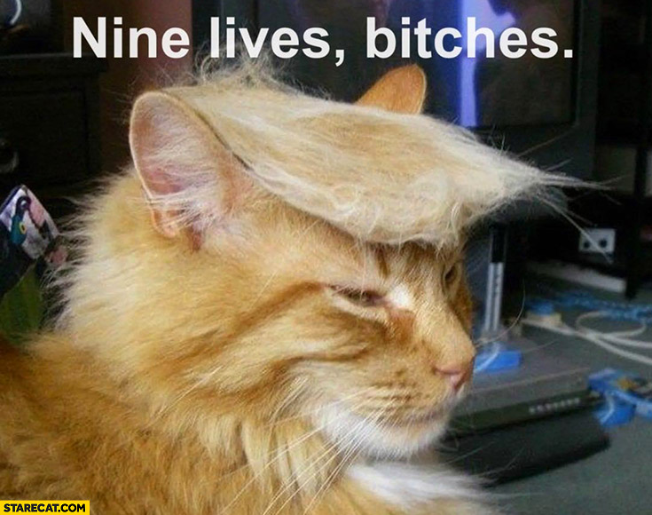 Donald Trump cat nine lives bitches rally shooting