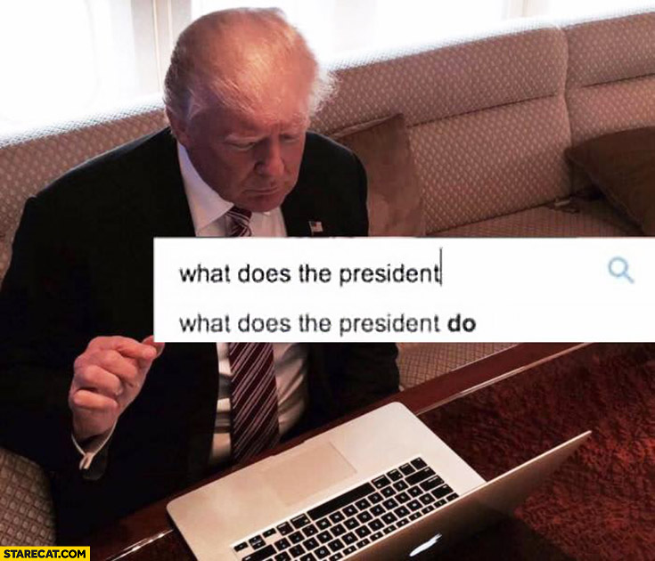 Donald Trump googling “what does the president do”