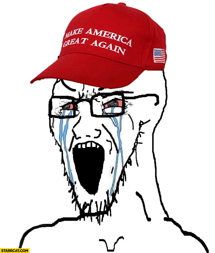 Donald Trump supporter yelling crying drawing meme