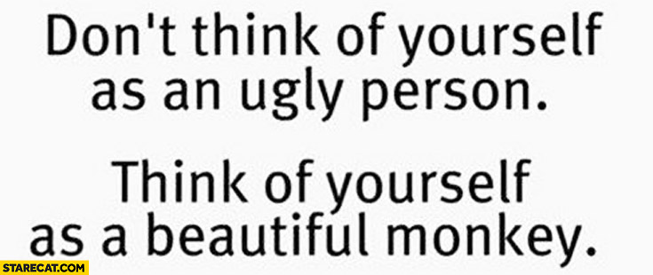 Don’t think of yourself as an ugly person, think of yourself as a beautiful monkey