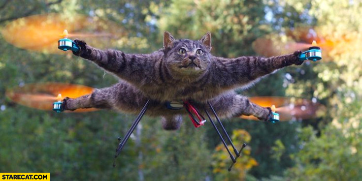 Drone made of flying dead cat