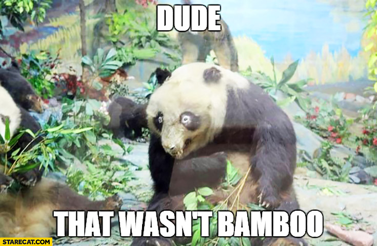 Dude that wasn't bamboo panda bear got