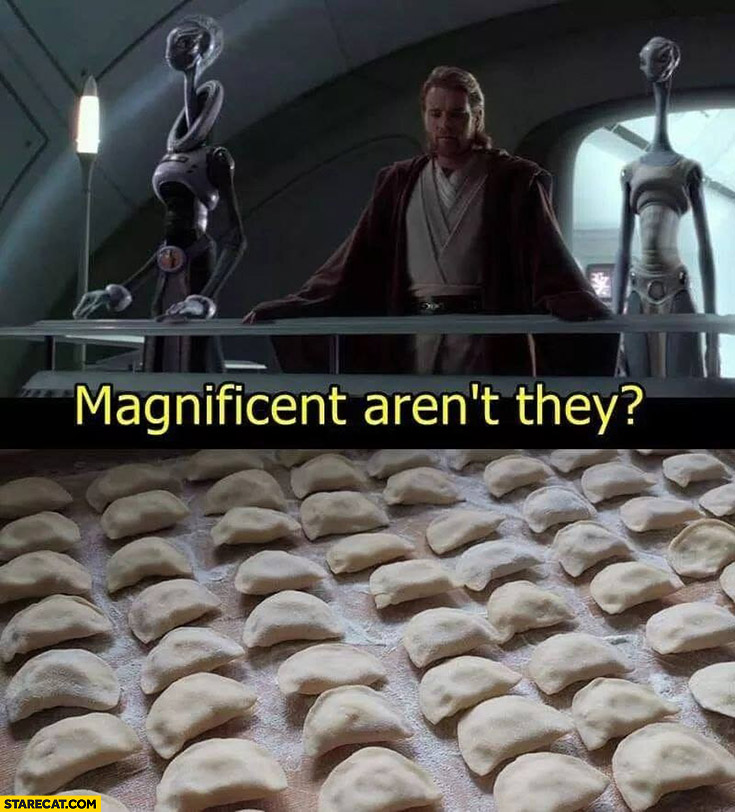 Dumplings magnificent aren’t they? Star Wars
