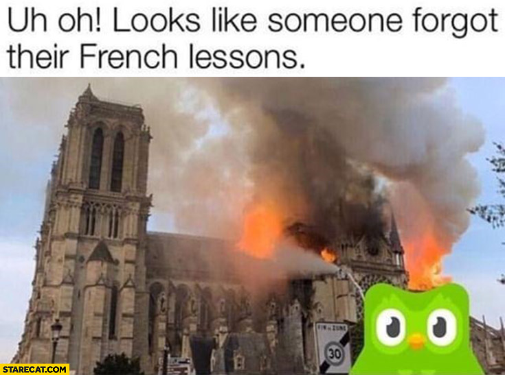 Duolingo Notre Dame on fire burning looks like someone forgot their French lessons