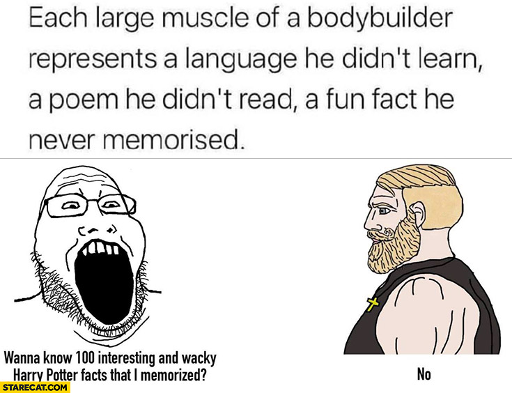 Each large muscle of a bodybuilder represents fun fact he never memorised wanna learn Harry Potter fun facts no