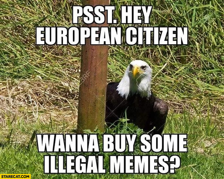 Eagle psst hey European citizen wanna buy some illegal memes?