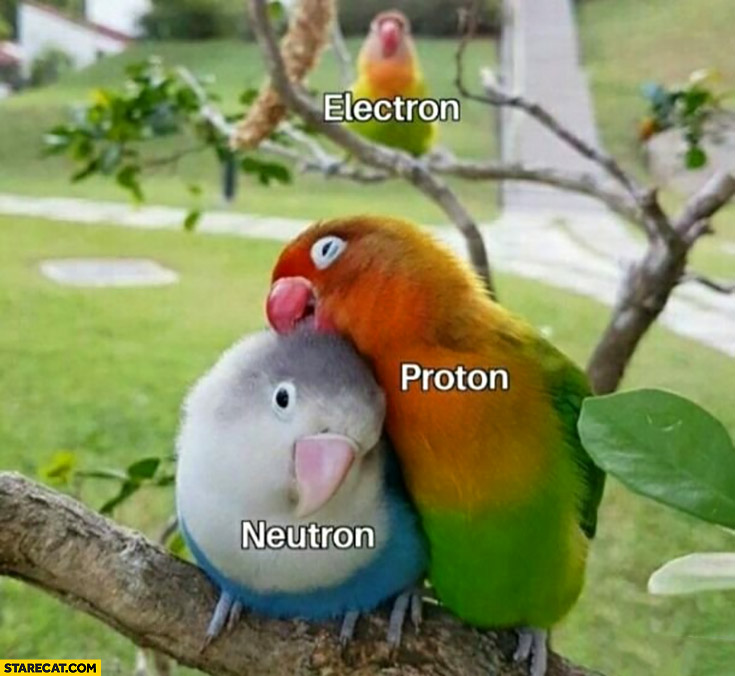 Electron proton neutron cute parrots hugging