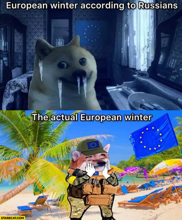 European winter according to russians freezing vs the actual european winter tropical weather dog doge