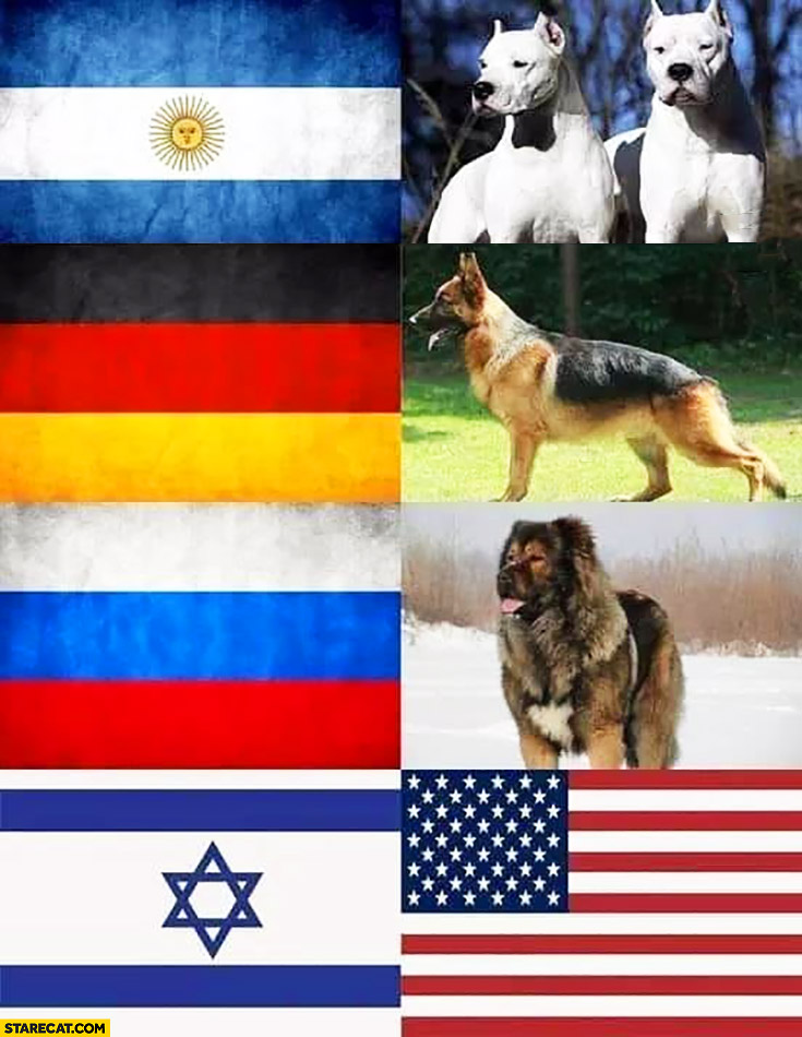Every country has their dog Israel have the United States
