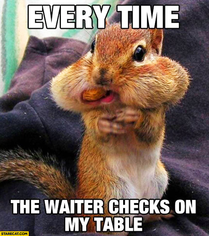 Every time the waiter checks on my table squirrel eating nuts