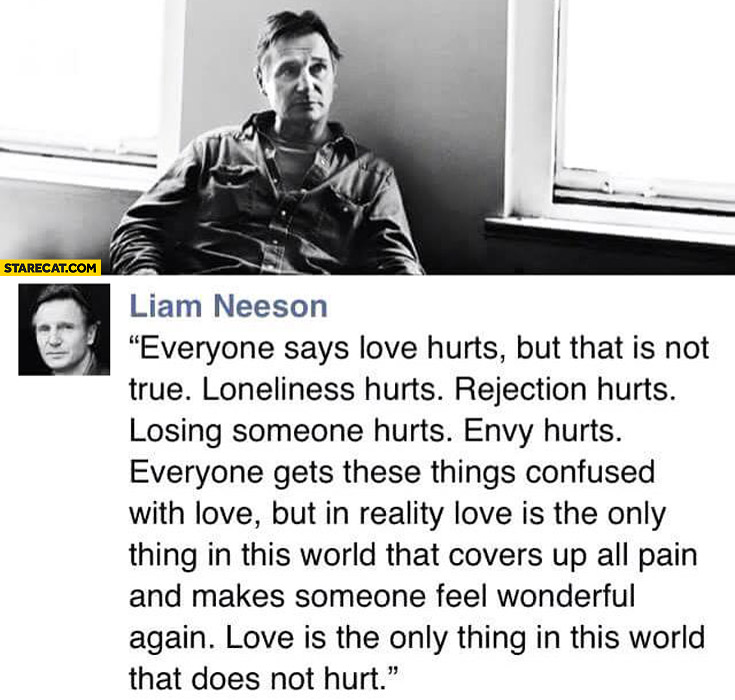 Everyone says love hurts, that’s not true. Rejection, losing someone, envy hurts. Love is the only thing in this world that does not hurt. Liam Neeson