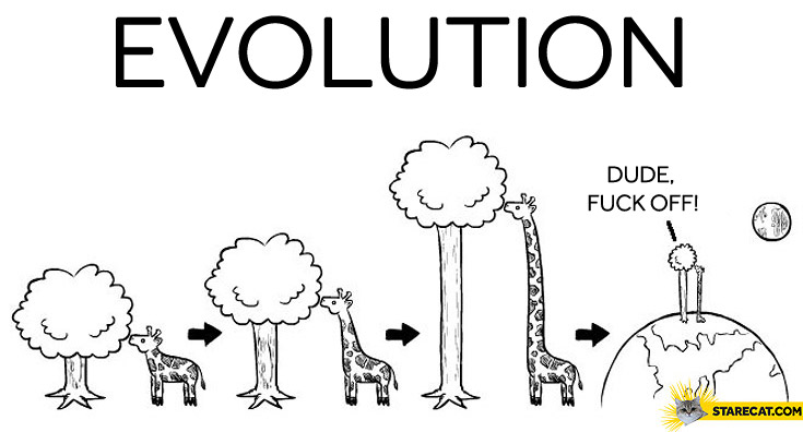 Evolution giraffe