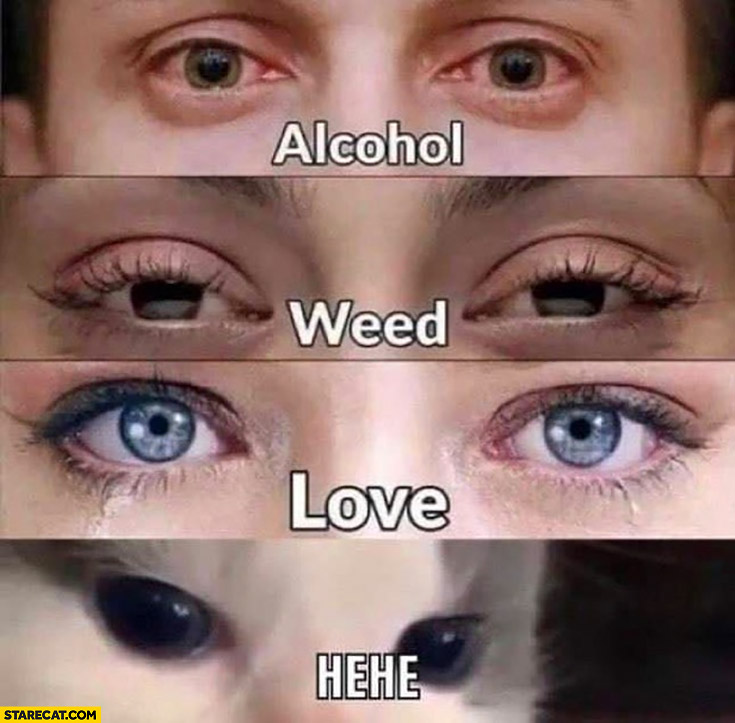 Eyes: alcohol, weed, love, cat hehe comparison