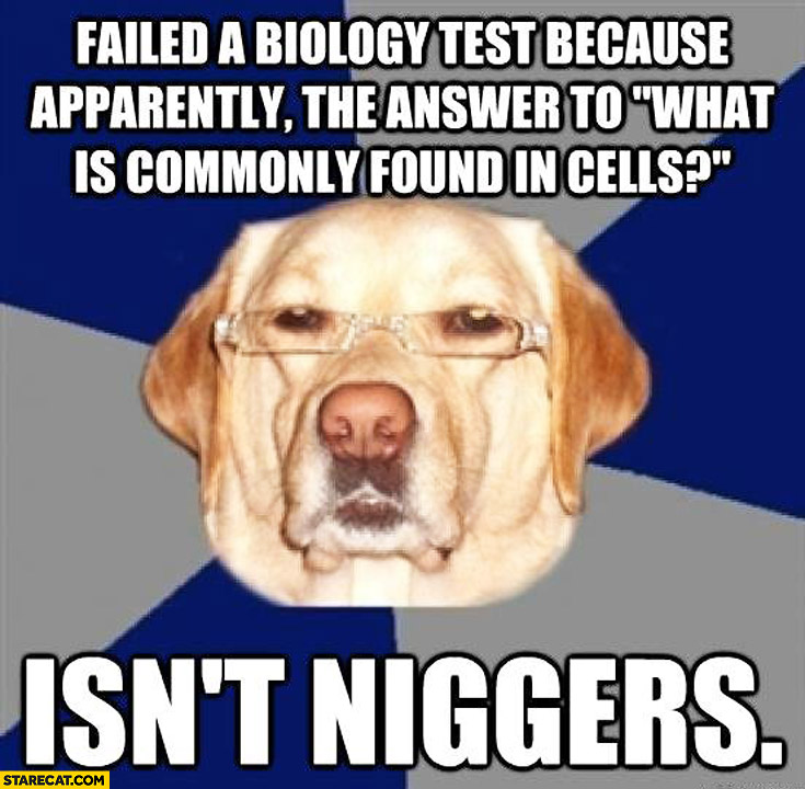 Failed biology test apparently answer to what is commonly found in cells isn’t ngrs dog meme