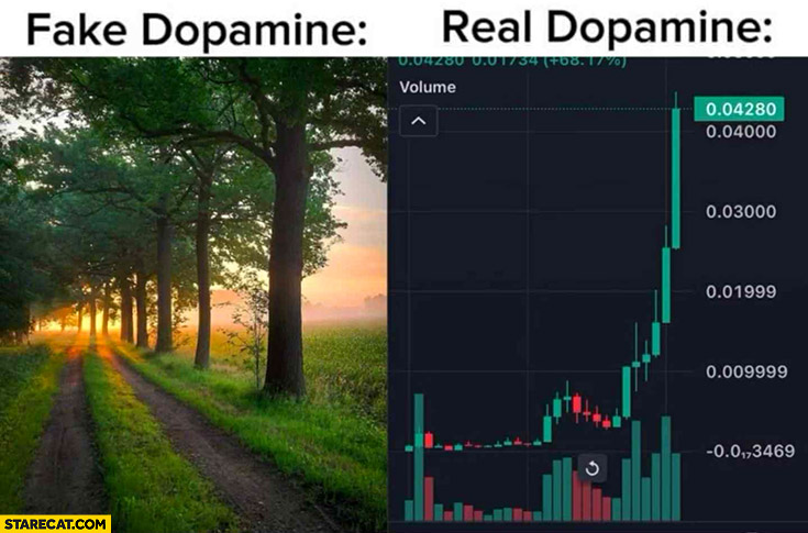 Fake dopamine going for a walk vs real dopamine trading stocks
