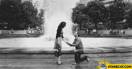 Faking proposal trolling shoe lace GIF animation