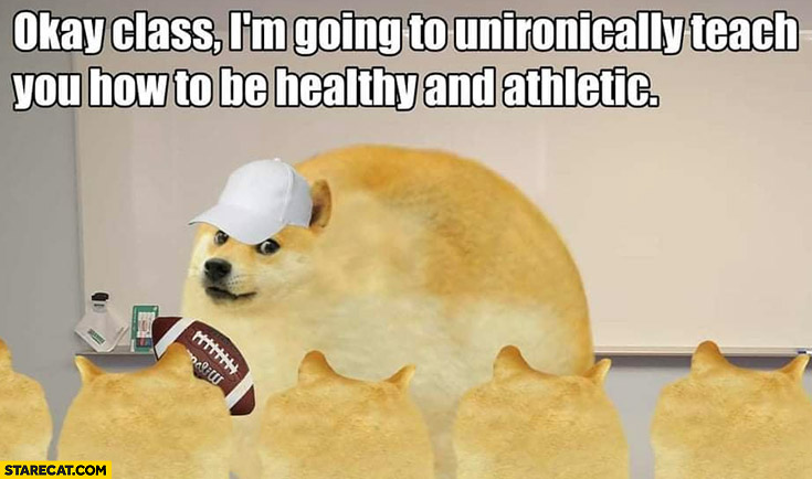 Fat dog doge okay class I’m going to unironically teach you how to be healthy and athletic