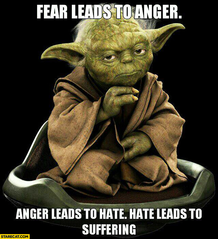 Fear Leads To Anger Leads To Hate Leads To Suffering Yoda Quote 