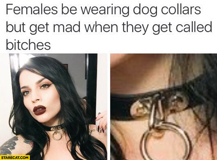 Females be wearing dog collars but get mad when they get called bitches