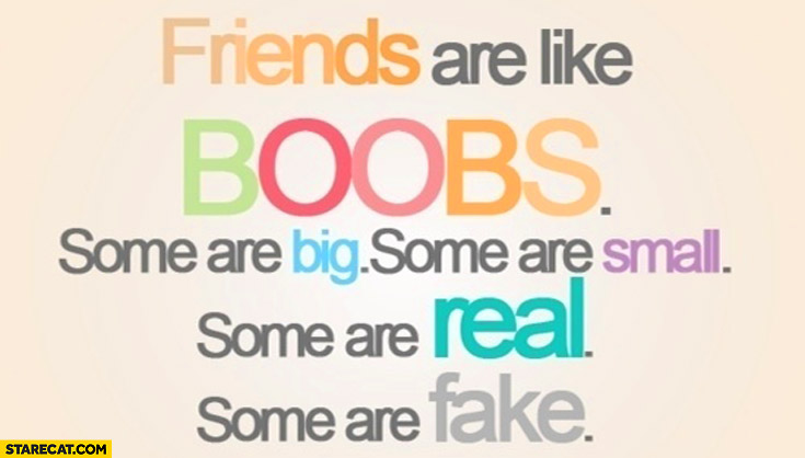 Friends are like boobs some are big some are small some are real some are fake
