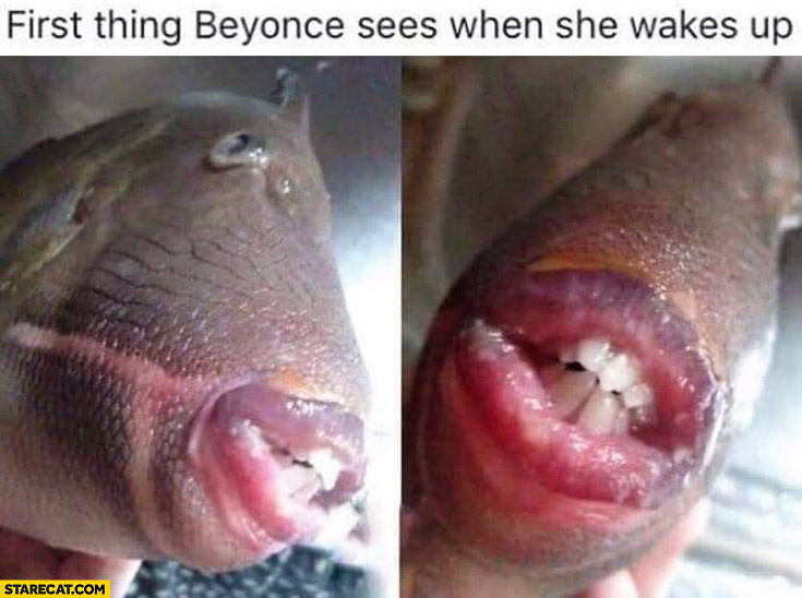 First thing Beyonce sees when she wakes up fish Jay-Z mouth