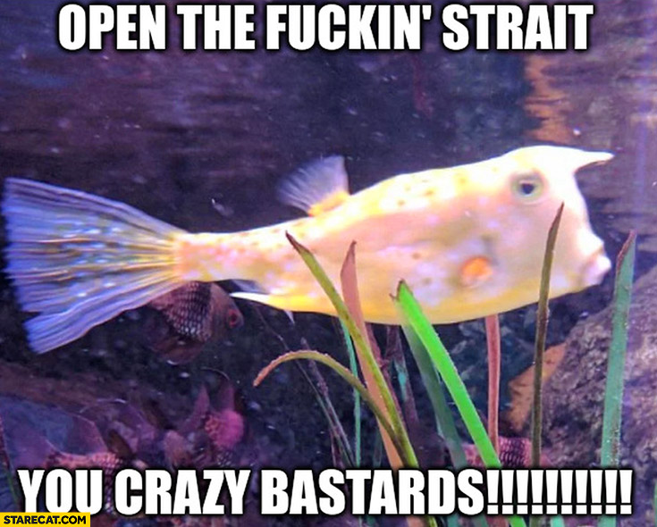 Fish Trump: open the fuckin strait you crazy bastards