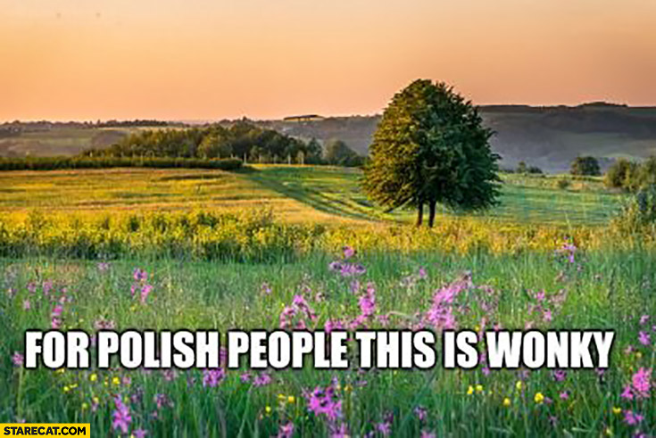 For Polish people this is wonky meadow grassland