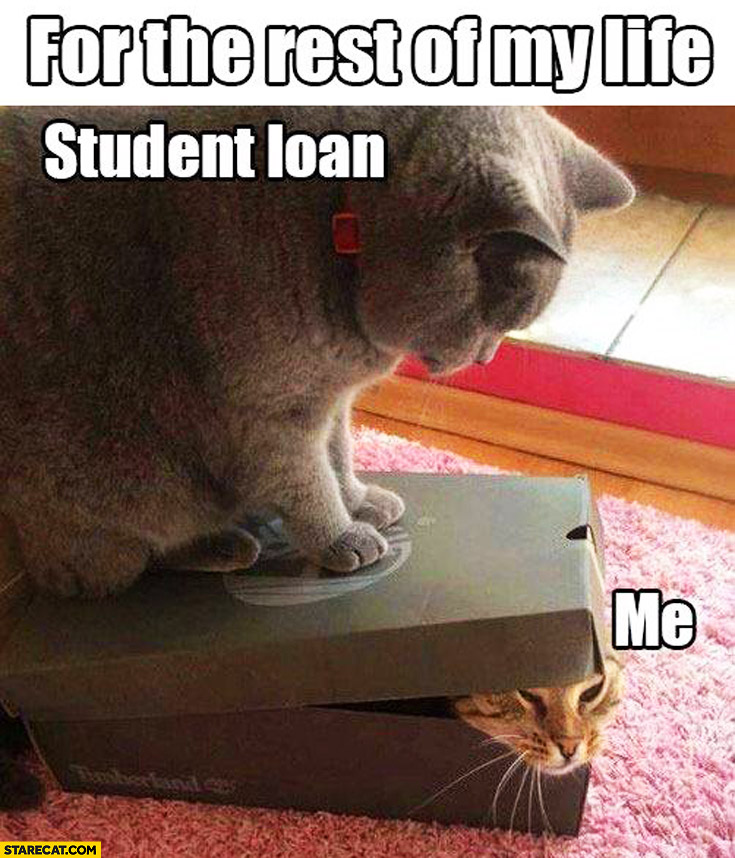 For the rest of my life student loan me cat in a box