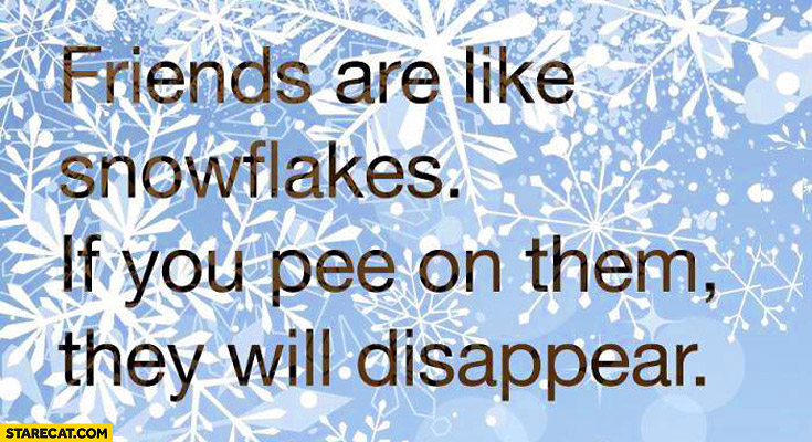 Friends are like snowflakes if you pee on them they will disappear