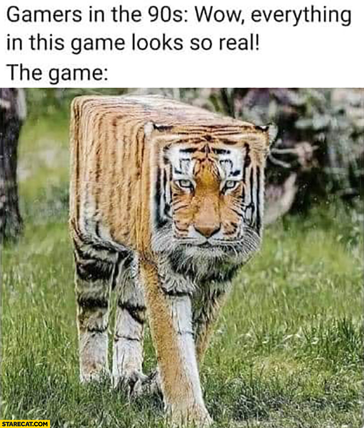 Gamers in the 90s wow everything in this game looks so real the game tiger boxed squared
