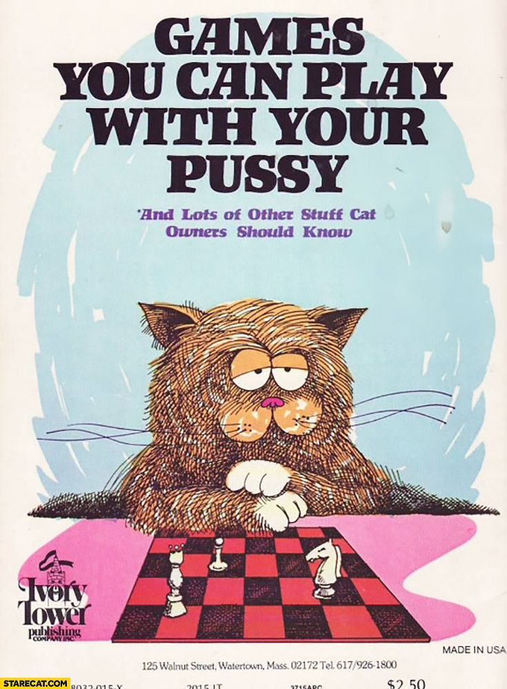 Games you can play with your pussy and lots of other stuff cat owners should know
