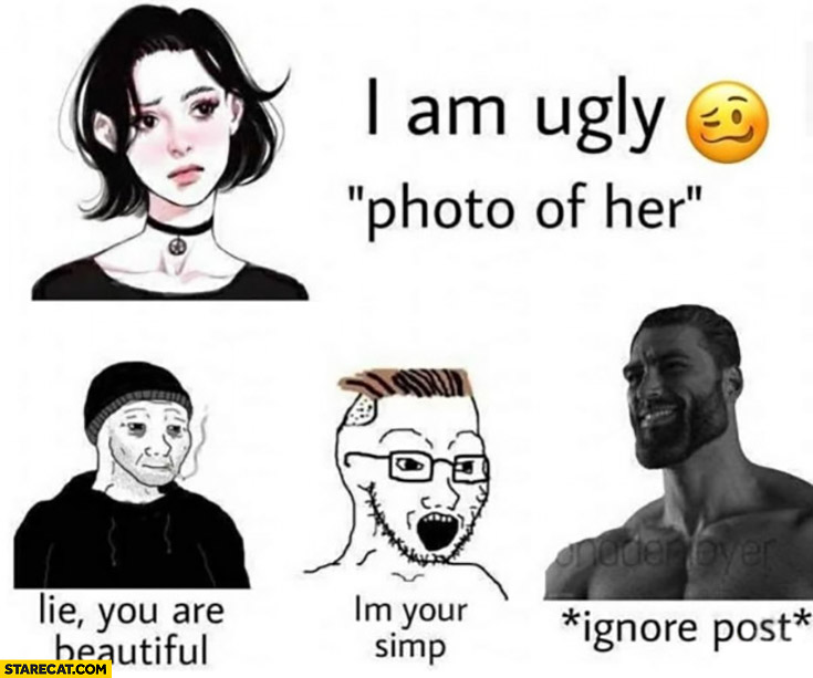 Girl: I am ugly photo of her, simp: lie, you are beautiful, I’m your simp Chad ignores post