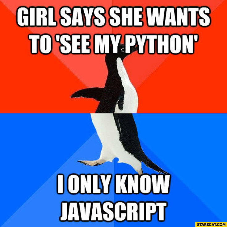 Girl says she wants to see my python I only know javascript