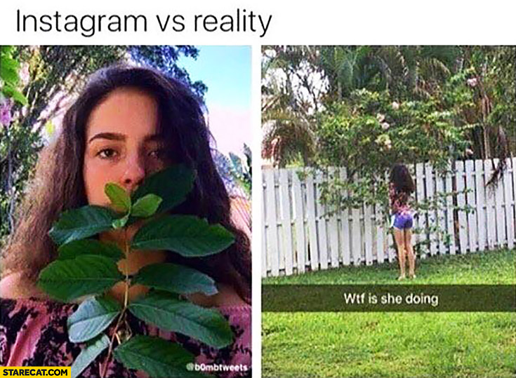 Girl with a flower instagram vs reality wtf is she doing